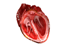thumbimg