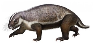 thumbimg