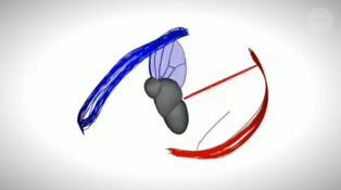 thumbimg