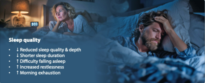 도로 소음: 단 하룻밤의 소음도 생리...