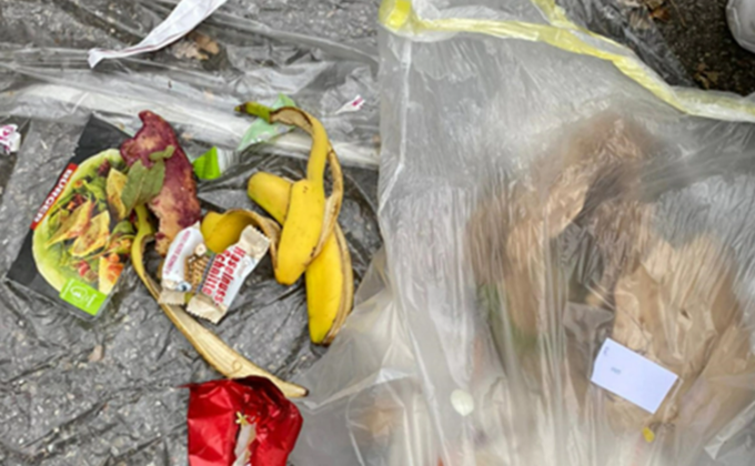 쓰레기 분리수거의 문제점은 무엇인가, 독일 사례연구